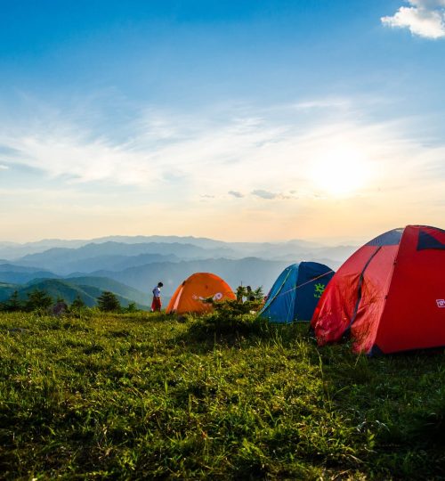 pexels-photo-1687845