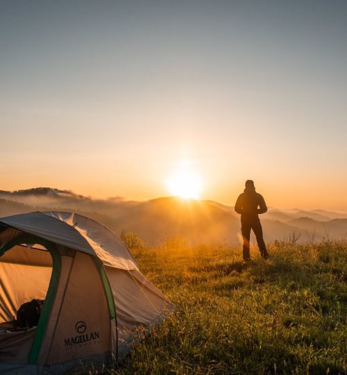 pexels-photo-2398220